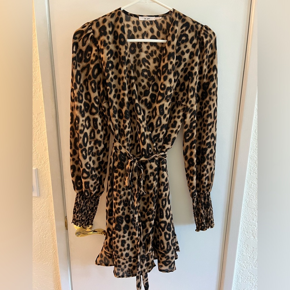 Francesca's cheetah print long sleeve wrap dress